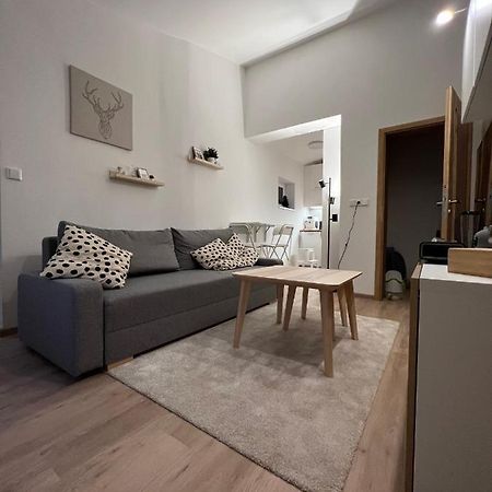 Apartman U Potoka Dolní Morava Eksteriør billede