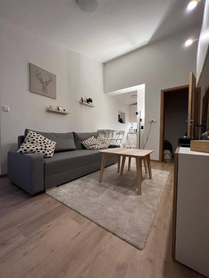 Apartman U Potoka Dolní Morava Eksteriør billede